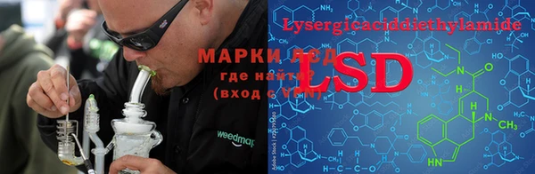 PSILOCYBIN Волосово