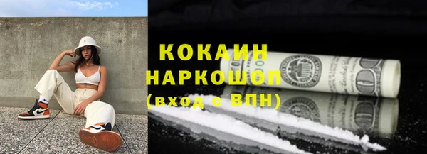 PSILOCYBIN Волосово