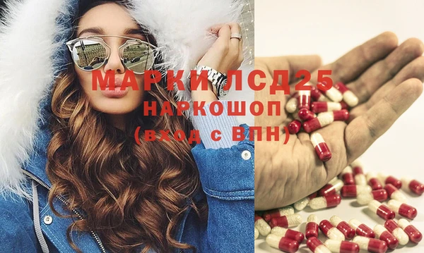 PSILOCYBIN Волосово